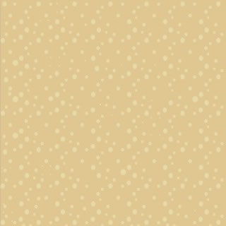 Heidi Grace Designs - earth dots cardstock  (pack of 10)